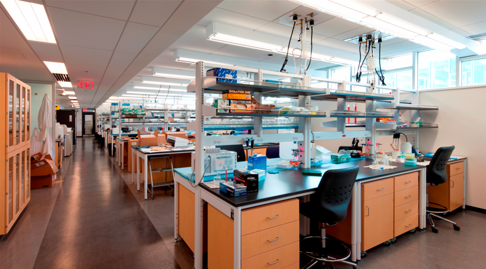 Photo of the UBC Biological Sciences Building Renew project for UBC
