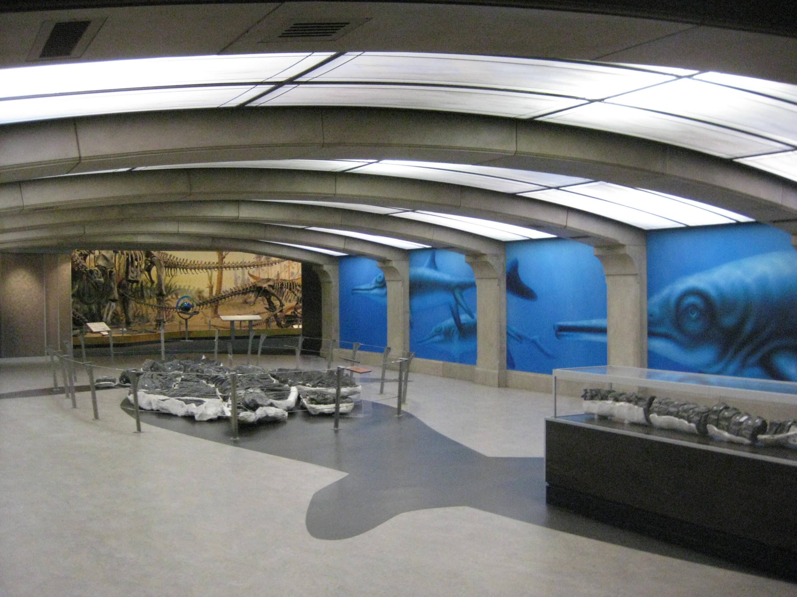 Royal Tyrrell Museum Expansion   photo